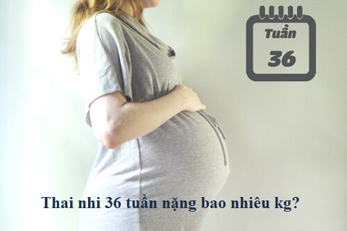 Thai 36 tuần nặng bao nhiêu kg