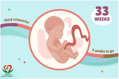 thai 33 tuần nặng bao nhiêu