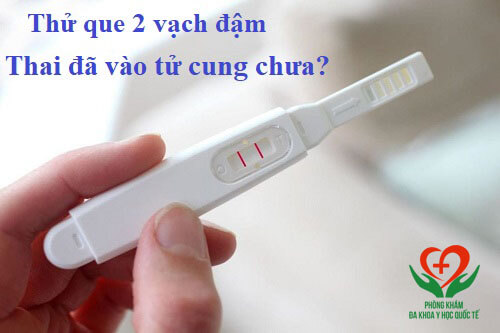 Thử que 2 vạch đậm thai đã vào tử cung chưa