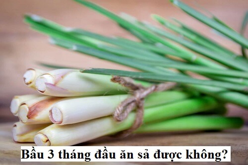 Bầu 3 tháng đầu ăn sả được không