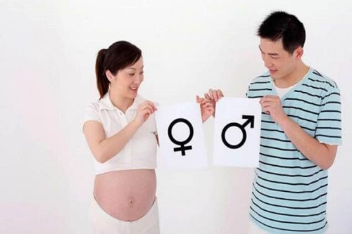 phương pháp xác định giới tính thai