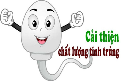 cải thiện sức khỏe tinh trùng