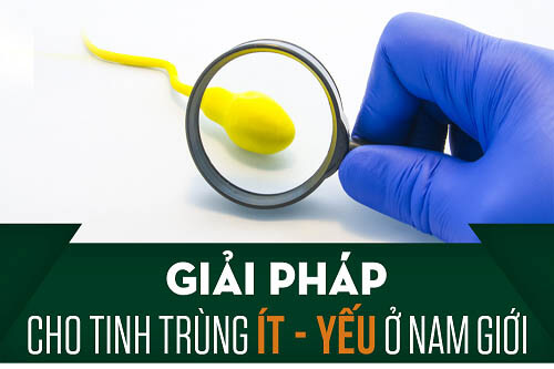 chữa tinh trùng yếu tăng khả năng thụ thai