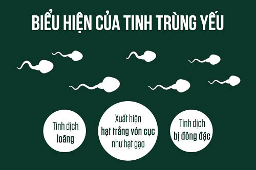 Đặc điểm nhận biết tinh trùng yếu