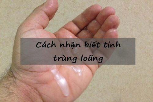 nhận biết tinh trùng loãng