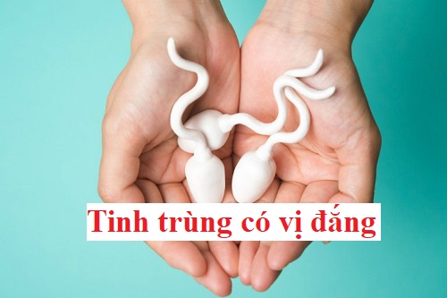 tinh trùng có vị đắng