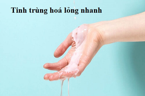 Tinh trùng hoá lỏng nhanh