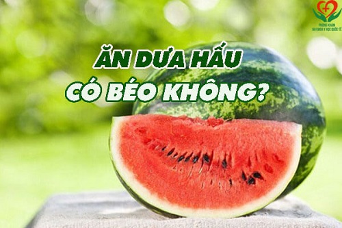 dưa hấu có béo không