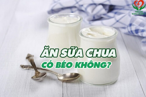 Ăn sữa chua có béo không?