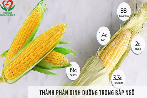 Giá trị dinh dưỡng của bắp