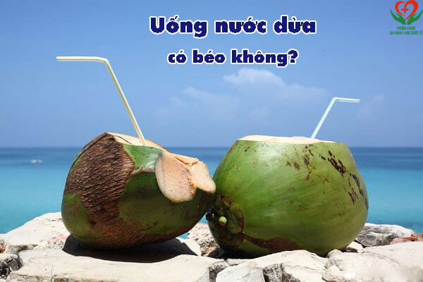 nước dừa có béo không