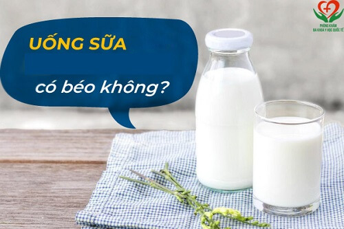 Uống sữa có béo không?