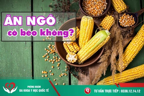 Ăn ngô có béo không?