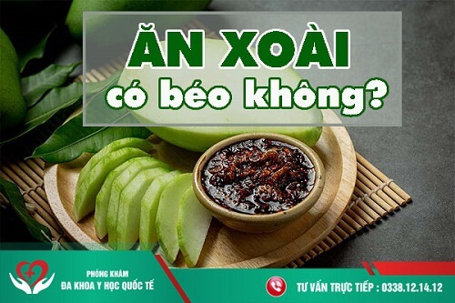 Ăn xoài có béo không?