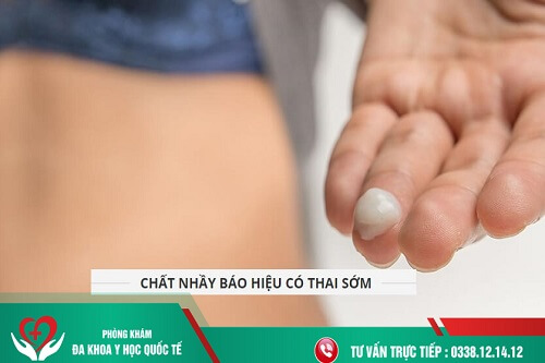 Chất nhầy báo hiệu có thai