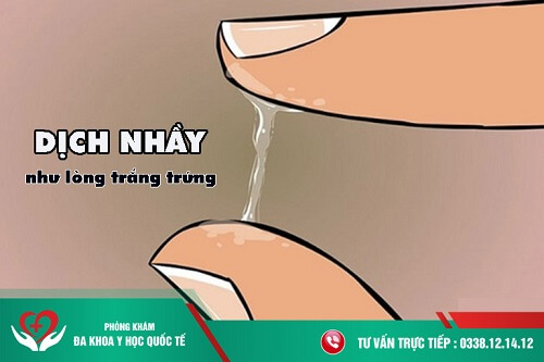 dịch nhầy như lòng trắng trứng