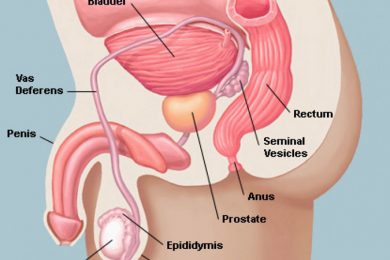 Vô sinh hiếm muộn, nguyên nhân và phương pháp khắc phục!